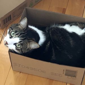 Meet your Posher, Sophie